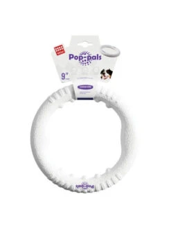 Anneau Ultra Résistant Gigwi 22cm Bubimex