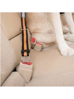 Kurgo Attache De Sécurité Direct To Seatbelt Pour Chien -Nature Dog Promos Boutique attache de securite direct to seatbelt pour chien 2