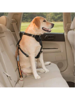 Kurgo Attache De Sécurité Direct To Seatbelt Pour Chien -Nature Dog Promos Boutique attache de securite direct to seatbelt pour chien 4