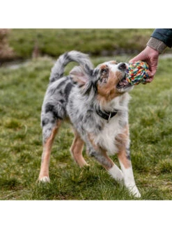 Balle De Jeu Nobby -Nature Dog Promos Boutique balle de jeu nobby 2