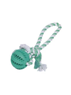 Balle Dentaire Avec Corde Nobby