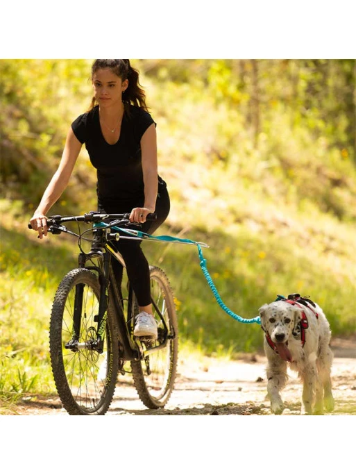 Barre CaniVTT Link ALM I-DOG 3 Barre CaniVTT Link ALM I-DOG – Image 3