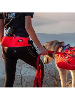 Baudrier Canicross Confort Trek I-DOG 5 Baudrier Canicross Confort Trek I-DOG -Nature Dog Promos Boutique baudrier canicross confort trek taille unique rouge new 2021 1