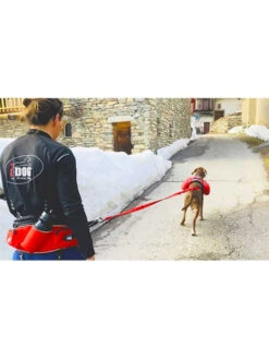 Baudrier Canicross Confort Trek I-DOG