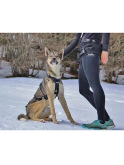 Baudrier Raidlight I-Dog -Nature Dog Promos Boutique baudrier raidlight i dog 2