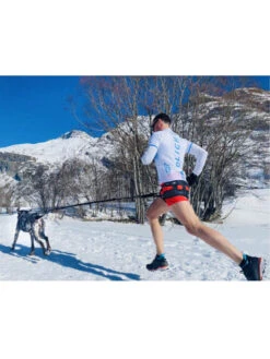 Baudrier Raidlight I-Dog -Nature Dog Promos Boutique baudrier raidlight i dog 5