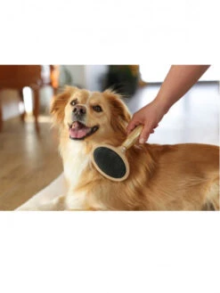 Brosse Carde Douce MagicBrush -Nature Dog Promos Boutique brosse carde douce magicbrush kerbl 3