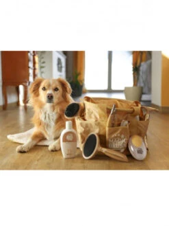 Brosse Carde Douce MagicBrush -Nature Dog Promos Boutique brosse carde douce magicbrush kerbl 4