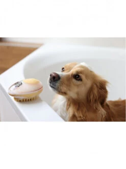 Brosse De Bain Chien MagicBrush 11 Brosse De Bain Chien MagicBrush -Nature Dog Promos Boutique brosse de bain chien magicbrush 2