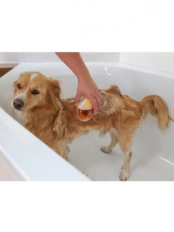 Brosse De Bain Chien MagicBrush 12 Brosse De Bain Chien MagicBrush -Nature Dog Promos Boutique brosse de bain chien magicbrush 3