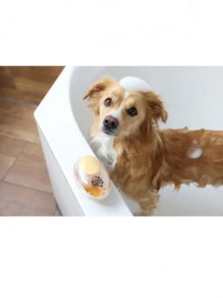 Brosse De Bain Chien MagicBrush 13 Brosse De Bain Chien MagicBrush -Nature Dog Promos Boutique brosse de bain chien magicbrush 4