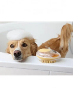 Brosse De Bain Chien MagicBrush 17 Brosse De Bain Chien MagicBrush -Nature Dog Promos Boutique brosse de bain chien magicbrush 8