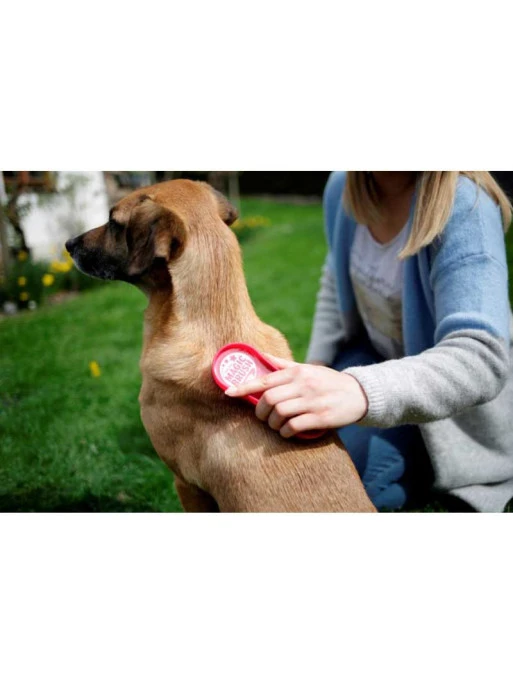 Brosse Chien MagicBrush 2 Brosse Chien MagicBrush – Image 2