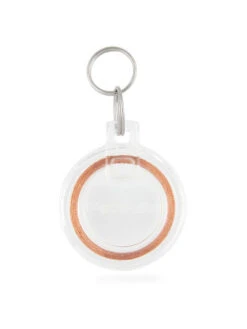 Clef Pour Porte à Lecture De Puce électronique PetSafe