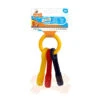 Clés Pour Chiot Puppy Chew Nylabone
