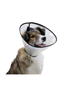 Collerette Pour Chien Kerbl -Nature Dog Promos Boutique collerette pour chien kerbl 2