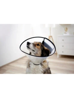 Collerette Pour Chien Kerbl -Nature Dog Promos Boutique collerette pour chien kerbl 3