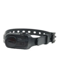 Collier Anti-aboiement IQ No Bark Dogtra
