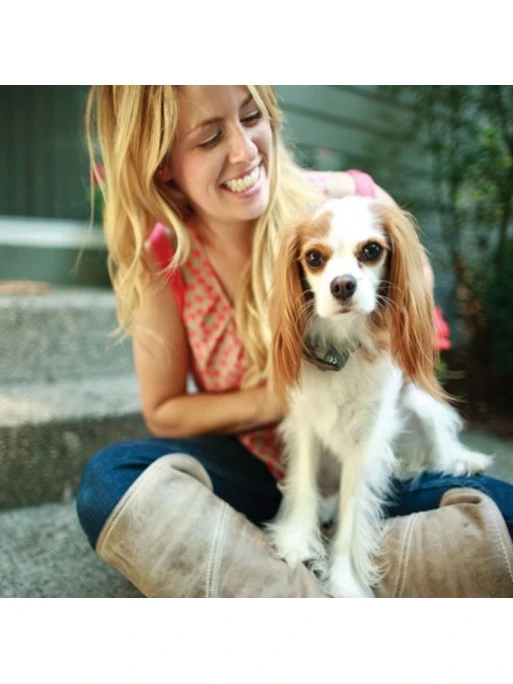 Collier Anti-fugue Add-A-Dog® Petsafe Petit Chien 2 Collier Anti-fugue Add-A-Dog® Petsafe Petit Chien – Image 2