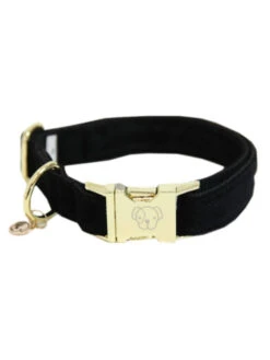 Collier Pour Chien Corduroy Kentucky