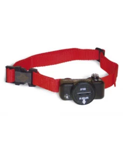 Collier Deluxe Ultralight PetSafe