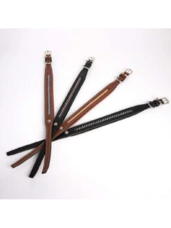 Collier Pour Chien Antarès