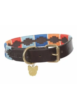 Collier Pour Chien Digby & Fox -Nature Dog Promos Boutique collier pour chien digby fox 2