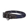 Collier Pour Chien En Corde Canter