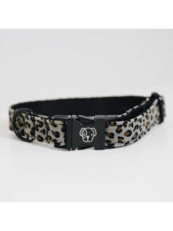 Collier Pour Chien Léopard Kentucky -Nature Dog Promos Boutique collier pour chien leopard kentucky 2