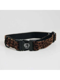 Collier Pour Chien Léopard Kentucky -Nature Dog Promos Boutique collier pour chien leopard kentucky 5