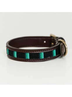 Collier Pour Chien Perles Faites Main Kentucky