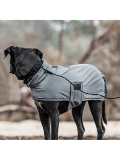 Collier Pour Chien Soft Rubber Kentucky