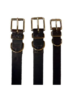 Collier Pour Chien Taille 2 Pravins