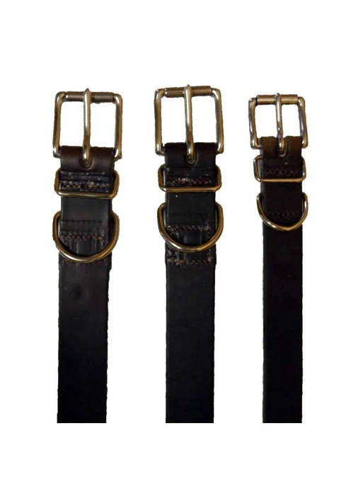 Collier Pour Chien Taille 3 Pravins 3 Collier Pour Chien Taille 3 Pravins – Image 3