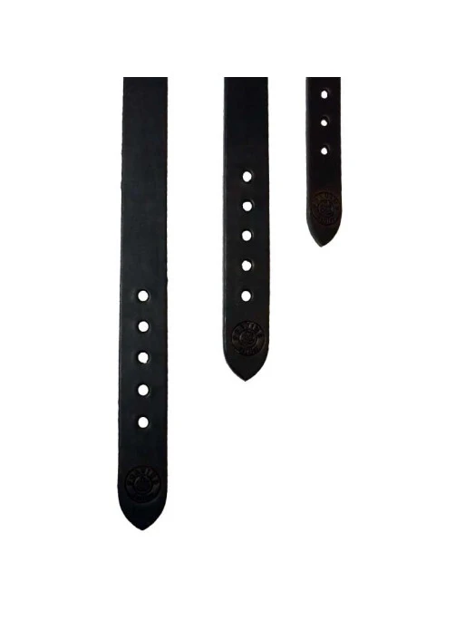 Collier Pour Chien Taille 3 Pravins 1 Collier Pour Chien Taille 3 Pravins