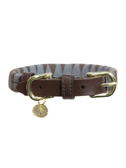 Collier Pour Chien Triangle Kentucky 4 Collier Pour Chien Triangle Kentucky – Image 4