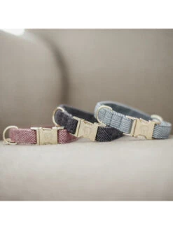 Collier Pour Chien Wool Kentucky -Nature Dog Promos Boutique collier pour chien wool kentucky 2