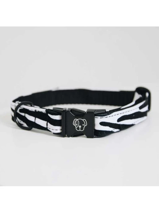 Collier Pour Chien Zebra Kentucky 1 Collier Pour Chien Zebra Kentucky