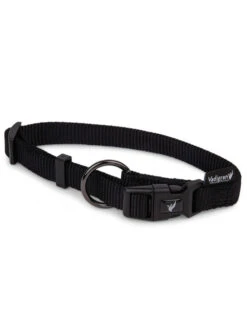 Collier Pour Chiens Classic Nylon Vadigran