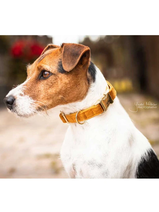 Collier Velvet Velours Kentucky 2 Collier Velvet Velours Kentucky – Image 2