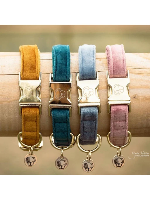 Collier Velvet Velours Kentucky 6 Collier Velvet Velours Kentucky – Image 6