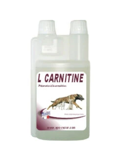 Complément Alimentaire Effort Et Récupération L-Carnitine 500ml Rekor