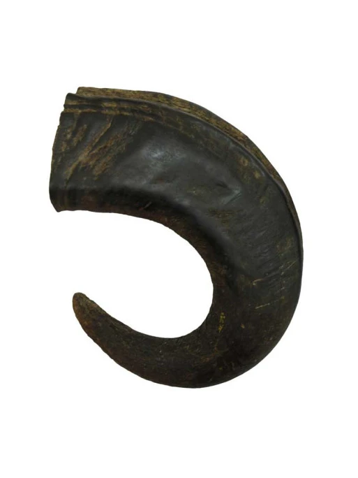 Corne De Buffle L 320g Bubimex 1 Corne De Buffle L 320g Bubimex