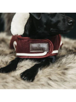 Couverture Chien Heavy Fleece Kentucky