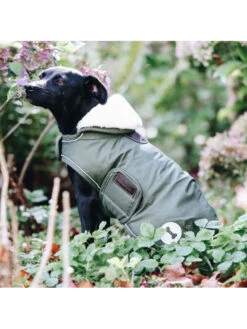 Couverture Chien Imperméable Kentucky -Nature Dog Promos Boutique couverture chien impermeable kentucky 2