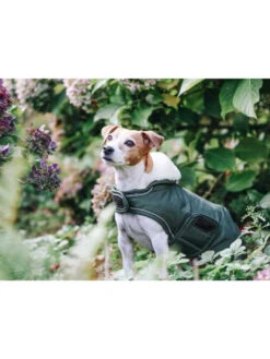 Couverture Chien Imperméable Kentucky -Nature Dog Promos Boutique couverture chien impermeable kentucky 3