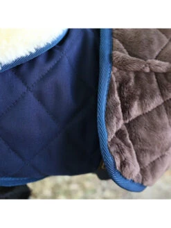 Couverture Chien Matelassée Kentucky