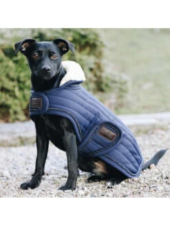 Couverture Chien Pearl Kentucky -Nature Dog Promos Boutique couverture chien pearl kentucky 3