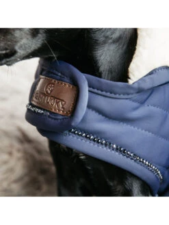 Couverture Chien Pearl Kentucky -Nature Dog Promos Boutique couverture chien pearl kentucky 5