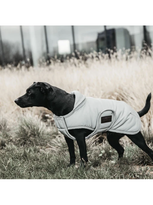 Couverture Chien Réfléchissante Imperméable 150g Kentucky 1 Couverture Chien Réfléchissante Imperméable 150g Kentucky